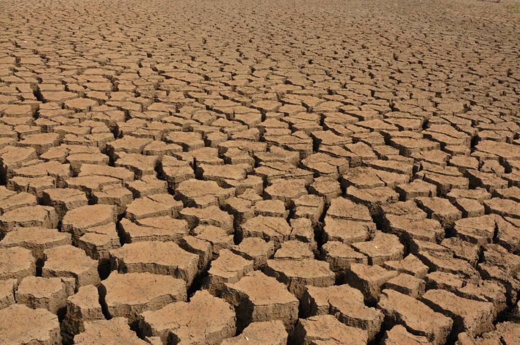 A snapshot of MidCoast Council's response to the crippling drought