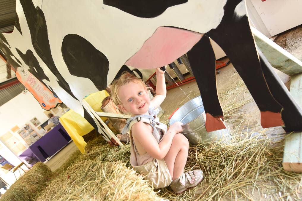 Harper Turner had fun at the model dairy cow exhibit at the Gloucester Show. Photo: Scott Calvin. 