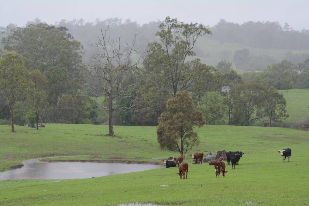 Decent rainfall was a contributing factor for MidCoast Council to lift water restrictions.