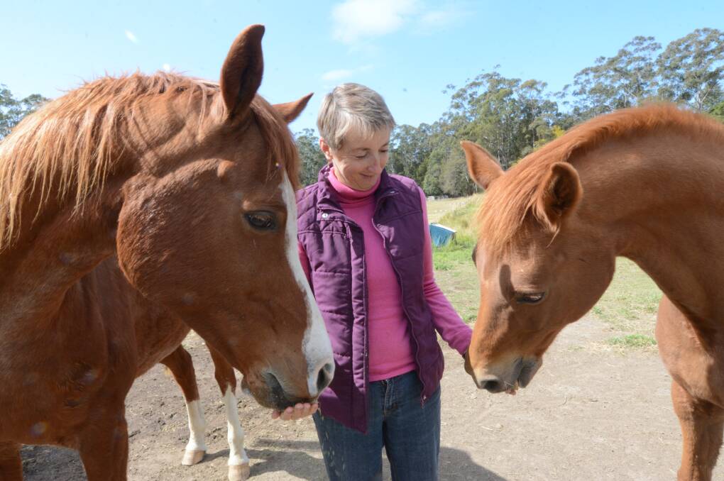 Feeding time: Di Denton with her horses at her Diamond Beach property. 