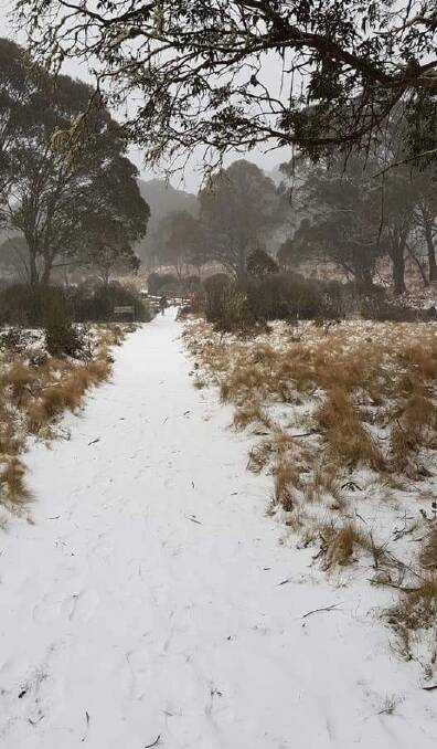 Wonderland: Barrington Tops was blanketed by snow on the weekend. Visitors had access on Friday and Saturday morning before road closures. Photo: Deanna Nowlan.