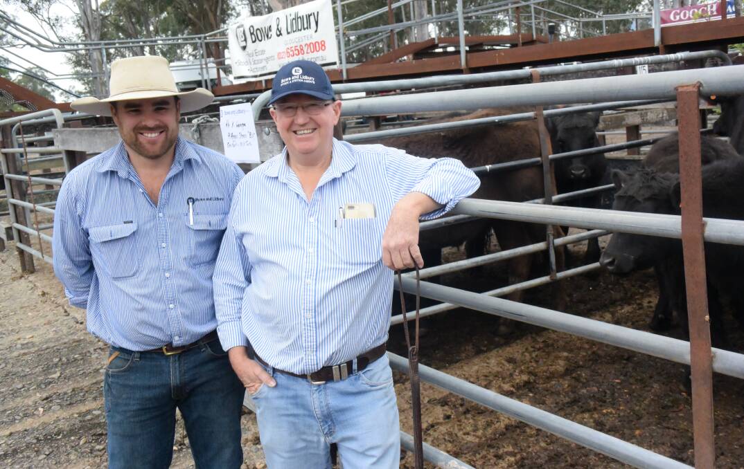 New era: Bowe and Lidbury's Michael Easey and Peter Markey with their cattle. Photo: Rob Douglas.