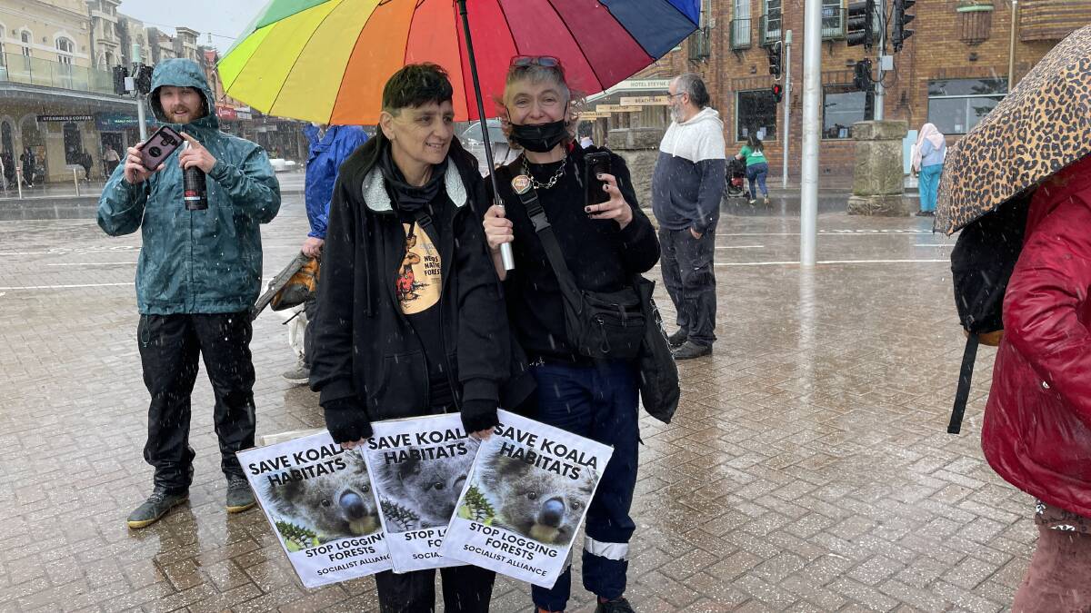 Rain didn't deter the enthusiasm of protestors at the national Save the Koala Day rally in Manly on September 30, 2022. Picture by Nadine Morton