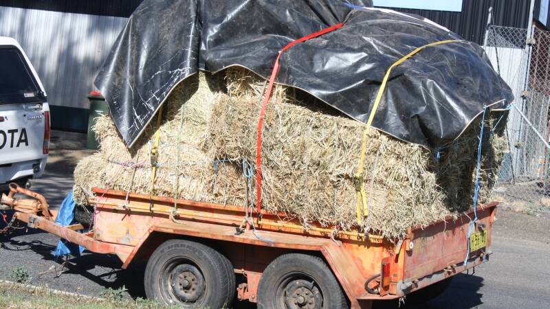 Farmers are stocking up on hay and silage to feed their cattle after the driest start to summer since records began.