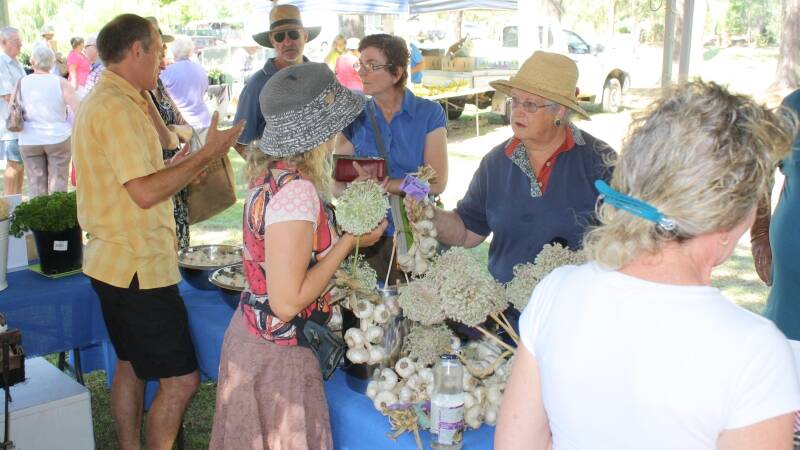 Cath McGovern buying garlic at the Gloucester Farmers Market on Saturday.